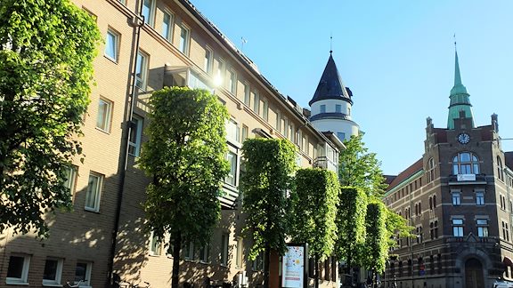 Prästgatan with green trees a summer day.