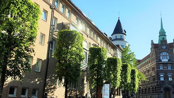 Prästgatan med gröna träd en sommardag.