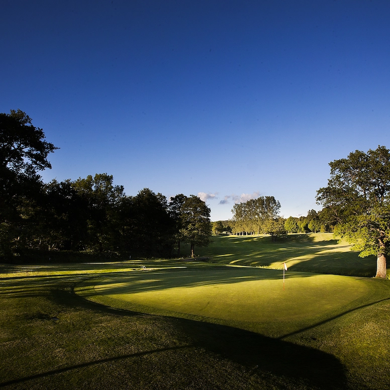 En golfbana omgiven av gröna träd, under en blå himmel en solig dag.